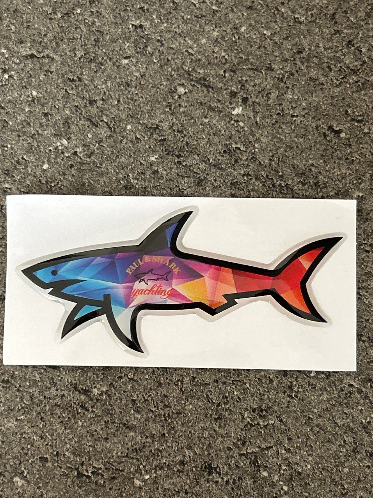 Shark été multicolore