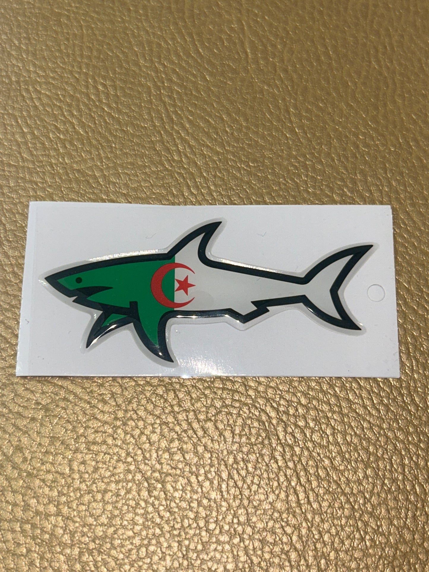 Shark Algérie