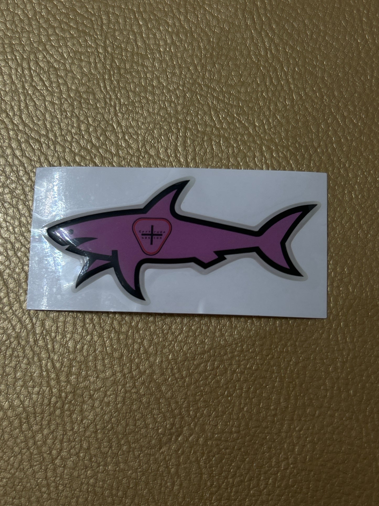 Shark G rose