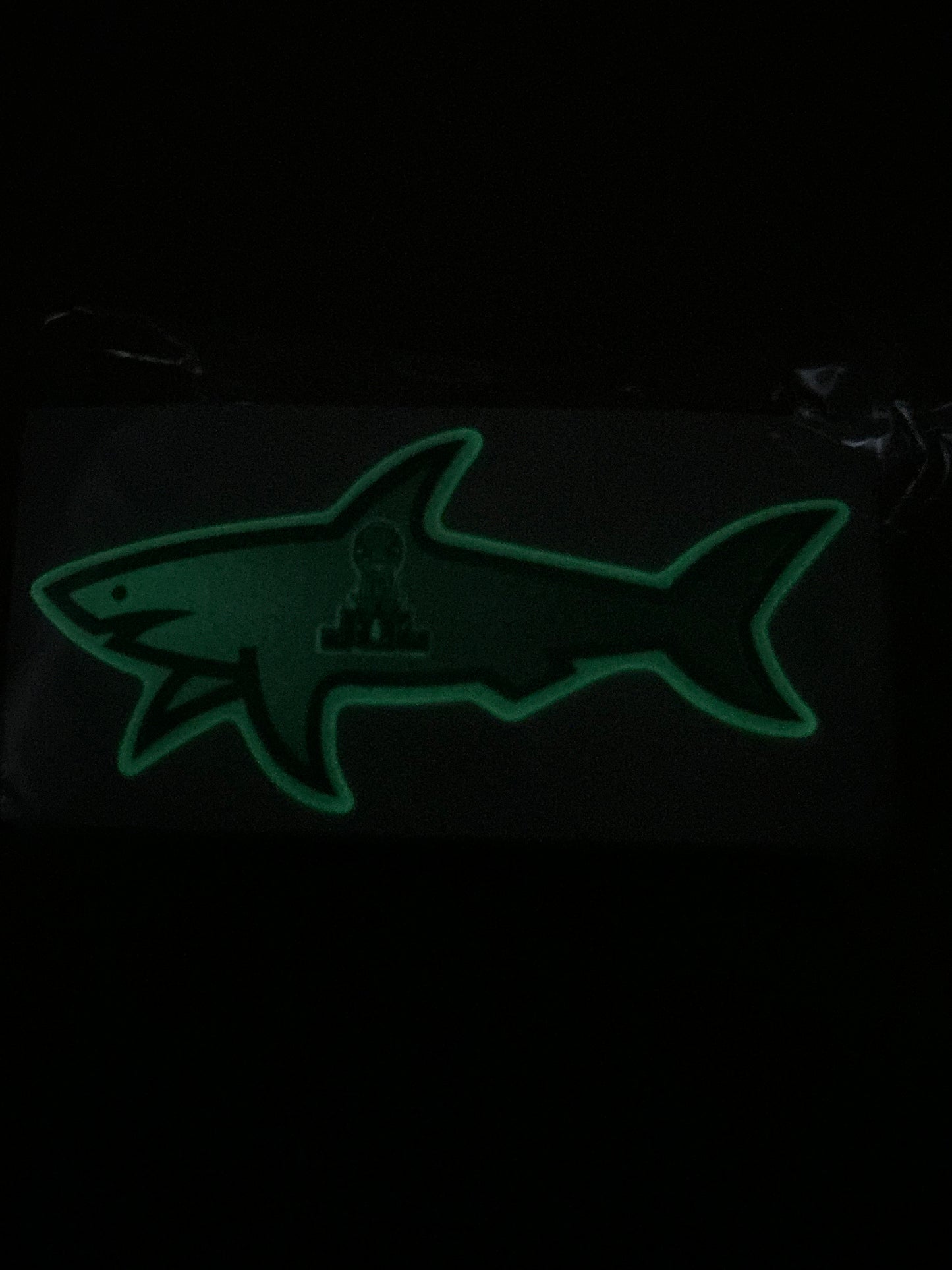 Shark jul phosphorescent