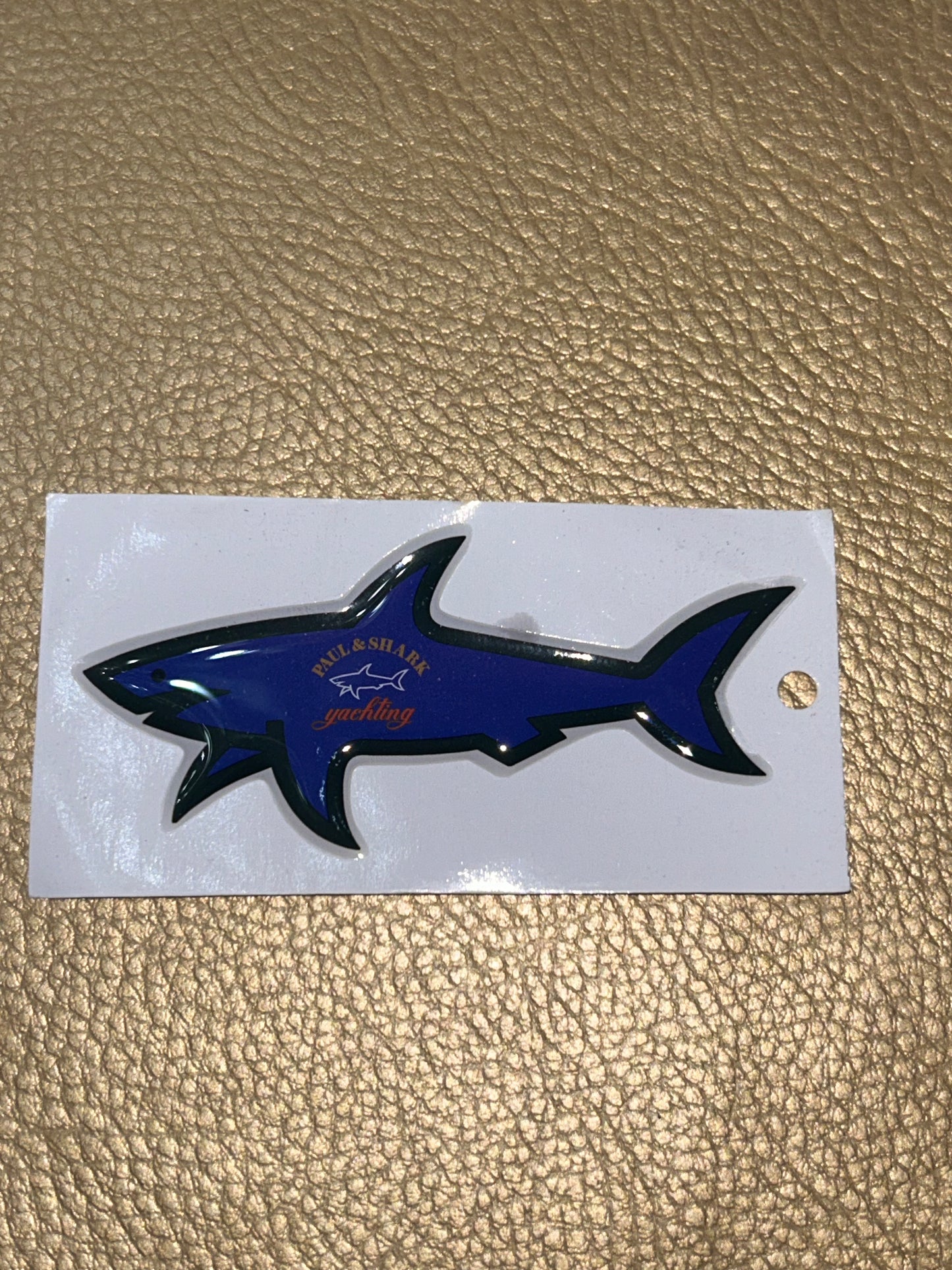 Shark bleu foncé
