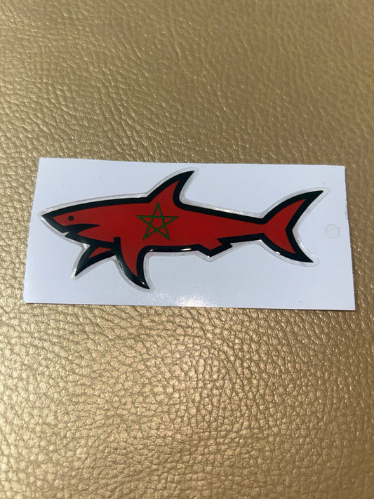 Shark Maroc
